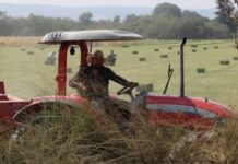 Aguascalientes Agriculture Shifts Toward Value-Added Products to Conquer International Markets and Boost Incomes