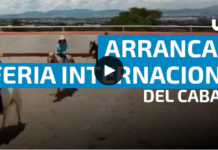 Aguascalientes International Horse Fair: featuring shows and free admission.